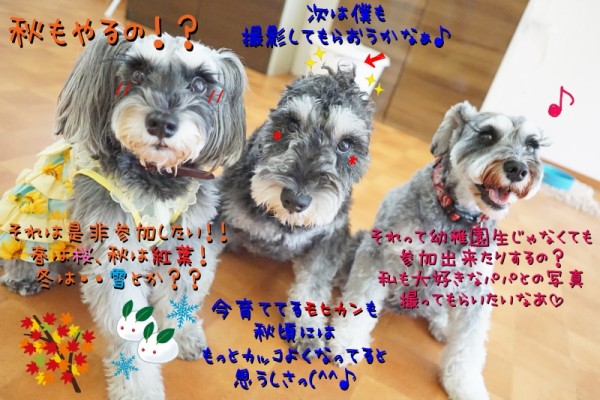 写真を撮ることに意味があるのです！