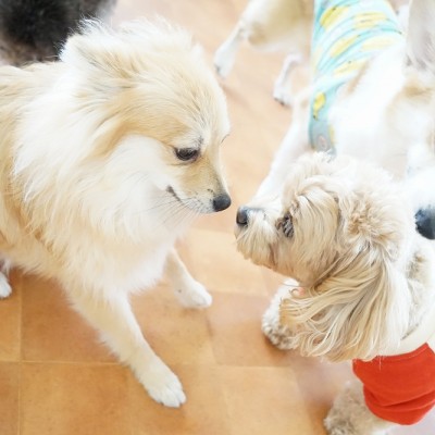 今までの思い出 【79】