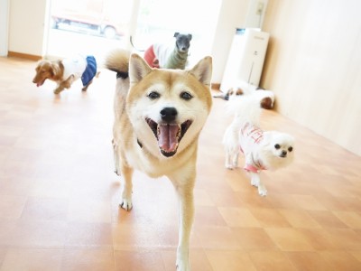 今までの思い出 【80】のサムネイル