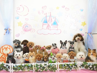 2024「メルヘン」のサムネイル