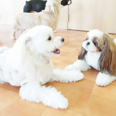 今までの思い出 【80】