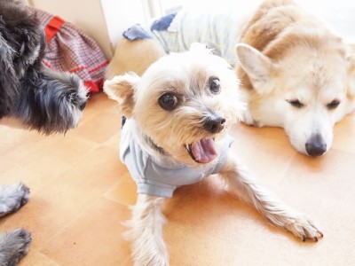 今までの思い出 【80】のサムネイル