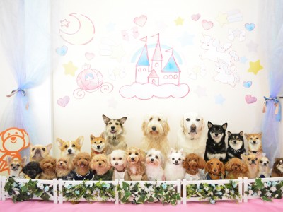 2024「メルヘン」のサムネイル