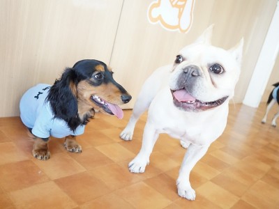 今までの思い出 【79】のサムネイル