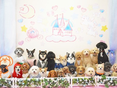 2024「メルヘン」のサムネイル