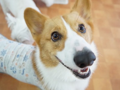 今までの思い出 【79】のサムネイル