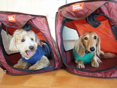 授業の様子♪ 80のサムネイル