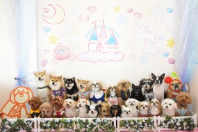 2024「メルヘン」