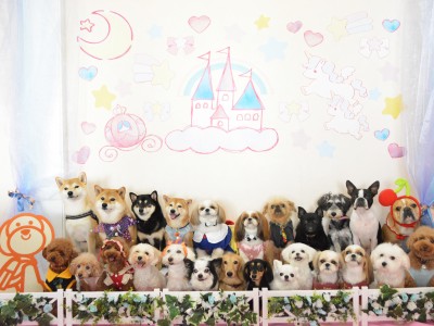 2024「メルヘン」のサムネイル