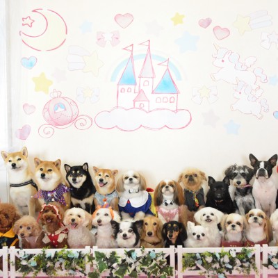 2024「メルヘン」