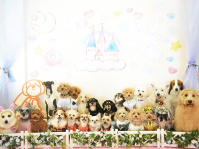 2024「メルヘン」のサムネイル