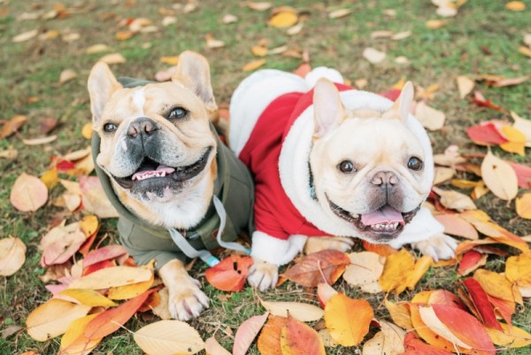 秋の撮影会　ご報告ブログ🍁