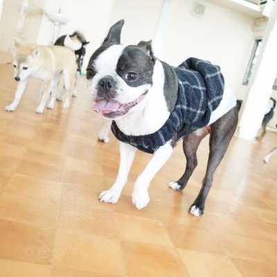 今までの思い出 【81】