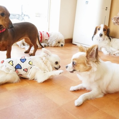 今までの思い出 【83】