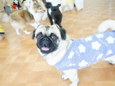 今までの思い出 【83】のサムネイル