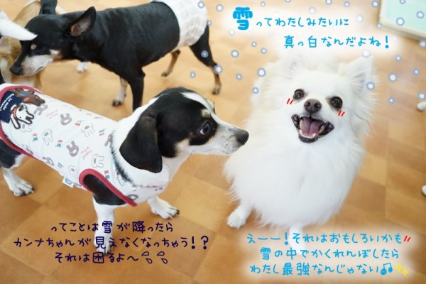 季節を楽しんで行こう！