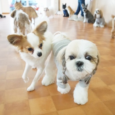 今までの思い出 【82】