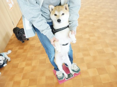 授業の様子♪ 80のサムネイル