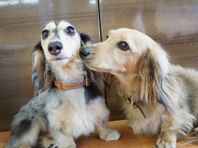 今までの思い出 【82】のサムネイル