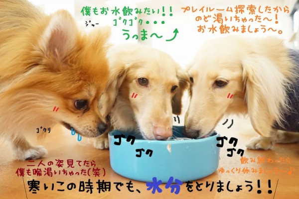 水曜日メンバーの書き初め気になるよねぇ～🎶