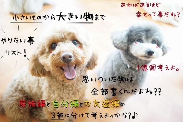 目指せ！やりたい事リストコンプ☆