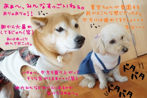 今日のブログもチェ～～ック👀