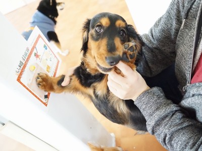 授業の様子♪ 80のサムネイル