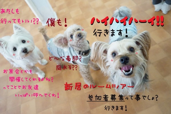 新生活に向けて☆彡