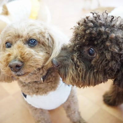 今までの思い出 【84】