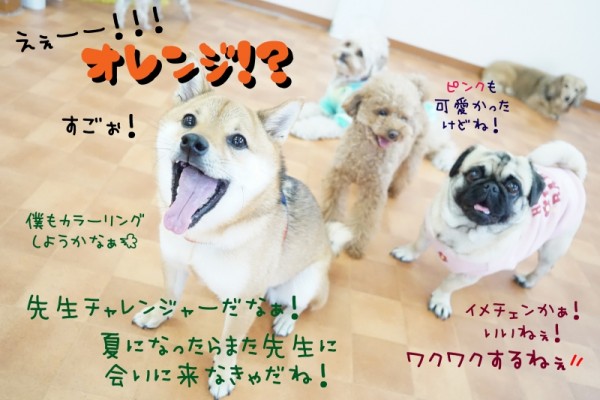 自由に楽しむべし！！