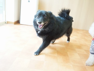 今までの思い出 【85】のサムネイル