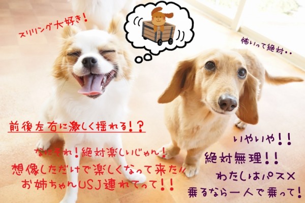 好きな物への熱は凄い🔥