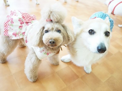 今までの思い出 【84】のサムネイル