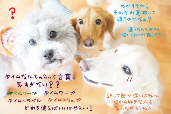 こんなトンネルはいかが？