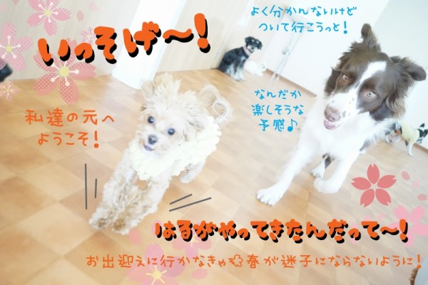 どんなトンネルがあるかな？