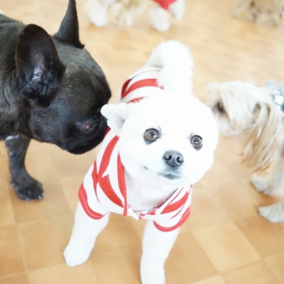 今までの思い出 【85】