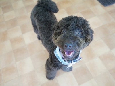 今までの思い出 【86】のサムネイル