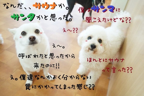 リフレッシュしよう(´▽｀*)