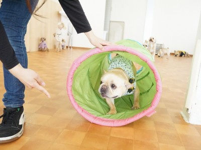 授業の様子♪ 80のサムネイル