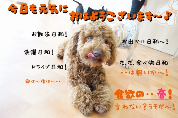 春を感じながら体を動かそう(´-｀*)