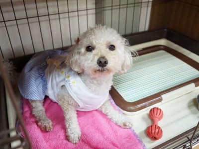 授業の様子♪ 82のサムネイル