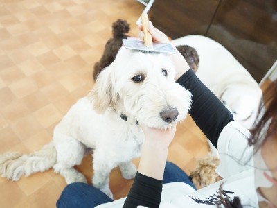 授業の様子♪ 81のサムネイル