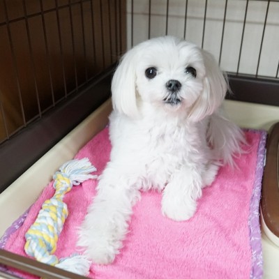 授業の様子♪ 74