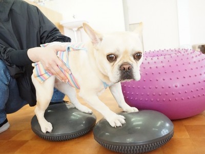 授業の様子♪ 79のサムネイル