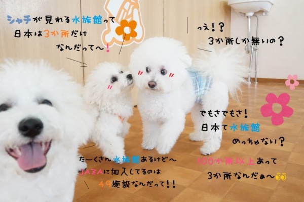 お泊りWEEK最終日🏠