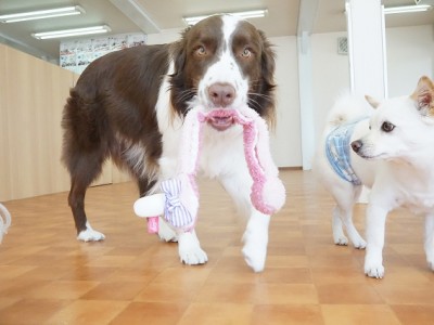 今までの思い出 【86】のサムネイル