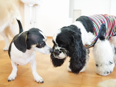 今までの思い出 【86】のサムネイル