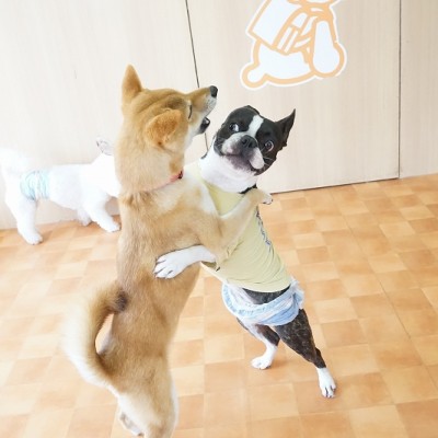 今までの思い出 【87】