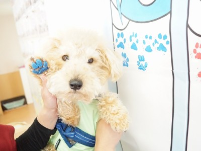 授業の様子♪ 83のサムネイル