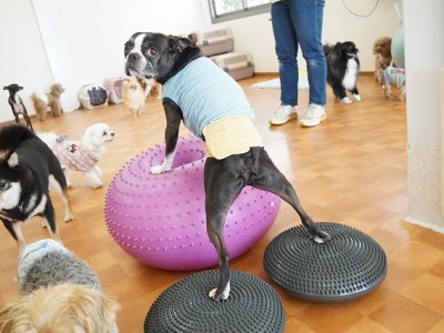 授業の様子♪ 81のサムネイル